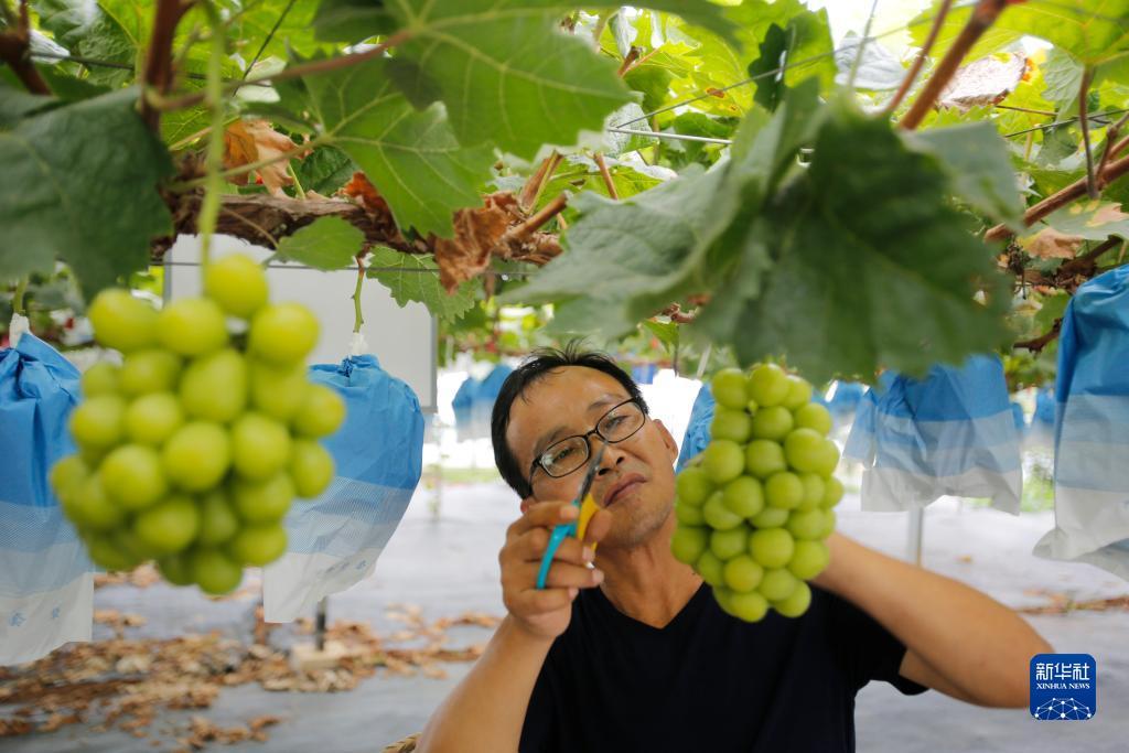 夺宝英雄游戏